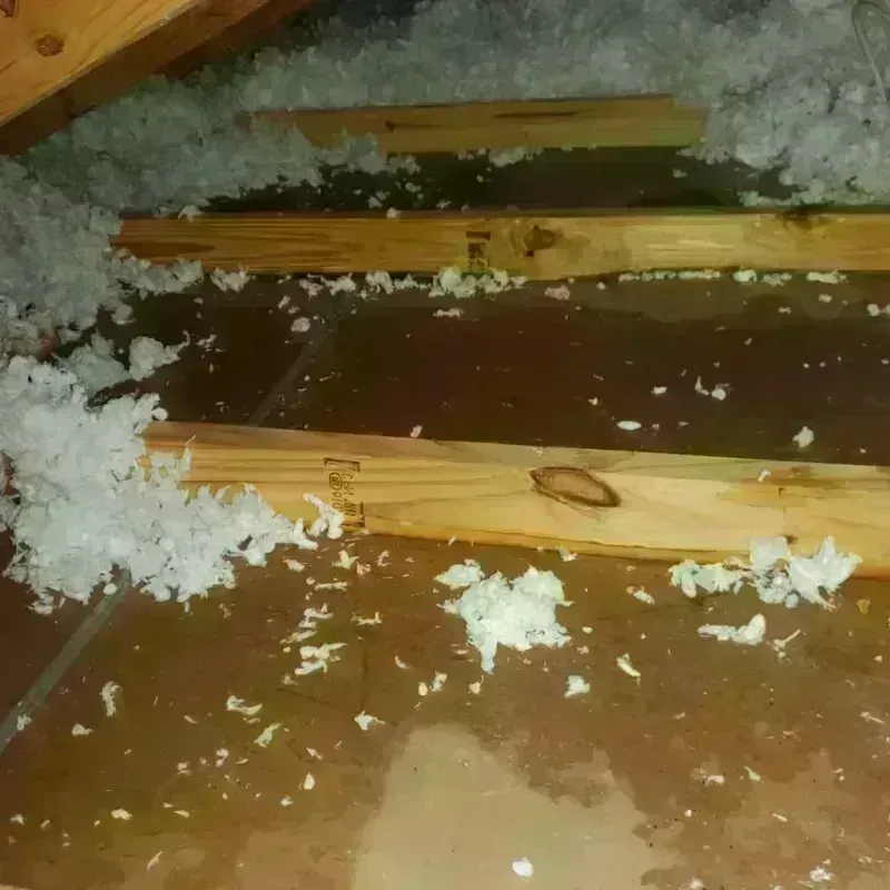 Attic Water Damage in Elkhorn, WI