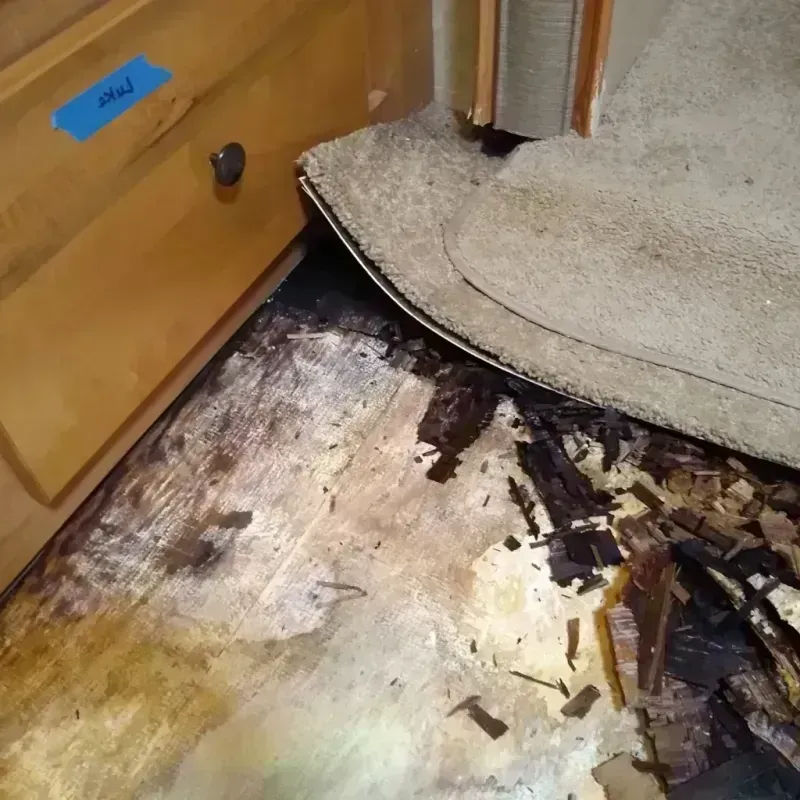 Wood Floor Water Damage in Elkhorn, WI